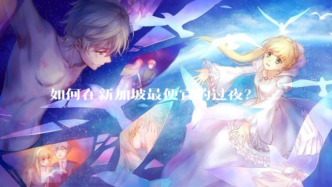 如何在新加坡最便宜的过夜？