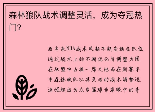 森林狼队战术调整灵活，成为夺冠热门？